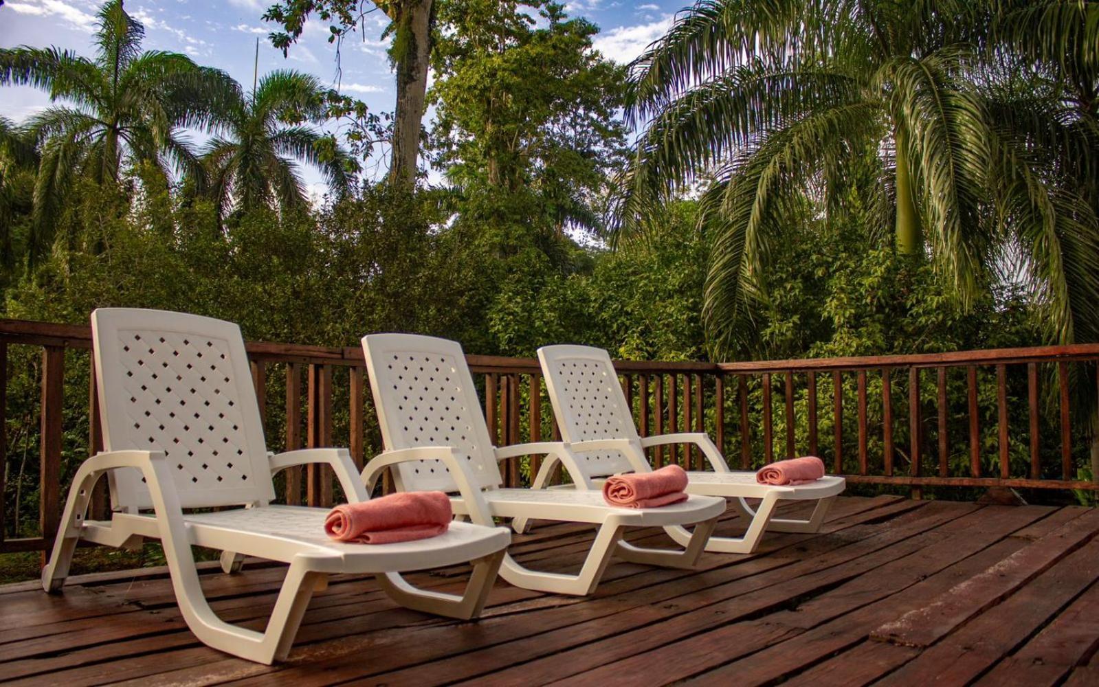 Casa Heliconia - Spacious, Big Garden, Close To The Beach Puerto Viejo de Talamanca ภายนอก รูปภาพ