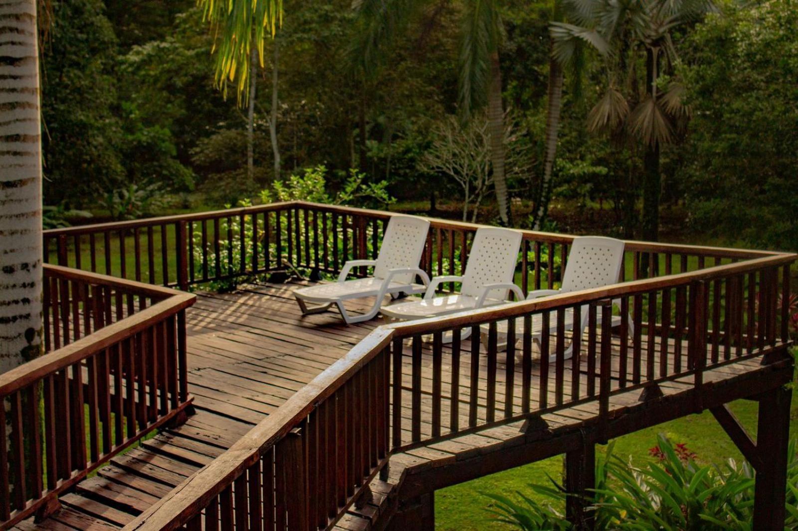 Casa Heliconia - Spacious, Big Garden, Close To The Beach Puerto Viejo de Talamanca ภายนอก รูปภาพ
